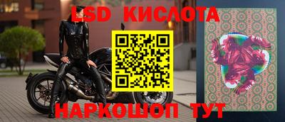 прущие грибы Нальчик