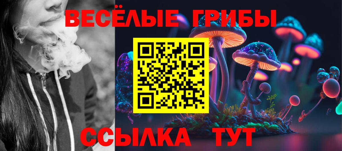 Псилоцибиновые грибы мицелий Славянск-на-Кубани